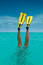 Fins