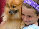 Girl and puppy Stock Photography