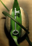 Eco Key Stock Photos