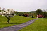 Farm at the end of the Lane Royalty Free Stock Images