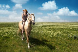 Riding Royalty Free Stock Photography