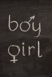 Boy and girl  words with gender symbols Royalty Free Stock Images