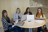 Students studying Royalty Free Stock Images