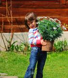 Girl planting daisies Stock Image