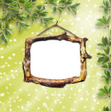 Wooden framework for portraiture Royalty Free Stock Images