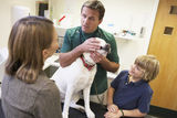 Boy And Mother Taking Dog For Examination By Vet Royalty Free Stock Photos