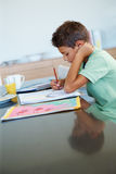 Young boy concentrating on his studies Stock Photo