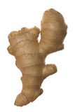 Ginger Royalty Free Stock Image