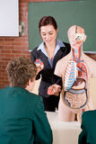 Teaching biology Stock Photo
