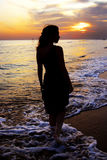 Silhouette Stock Image