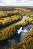 Airplane over forest Royalty Free Stock Photo