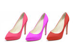 Lady shoes Stock Image