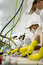 Workers in plant
