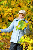 Girlie & autumn Royalty Free Stock Photo