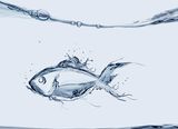 Water Fish Royalty Free Stock Images