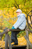 Girlie & autumn Royalty Free Stock Images