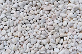 Texture of white stones Royalty Free Stock Image