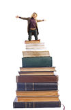 Lady on the books Royalty Free Stock Photos