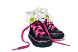 Girlie Shoes Stock Photography