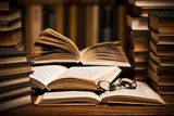 Reading books Royalty Free Stock Images