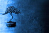 Spiritual Knowledge  Bonsai Background Stock Image