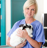 Female Vet with Rabbit Royalty Free Stock Photography