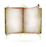 Open book Royalty Free Stock Images