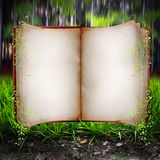 Open book Stock Photo