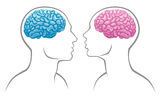 Gender brain Stock Image