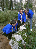 Scouts learn orientation Stock Images