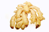 Ginger Stock Photography