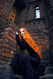 Redhead girl Stock Image