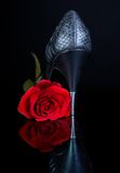 High Heels and rose Royalty Free Stock Image