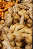Ginger Royalty Free Stock Photography