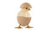 Happy easter Stock Photos