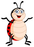 Lady bug Royalty Free Stock Images