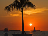 Key West sunset Stock Photography