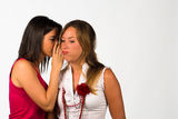 Girlie gossip Royalty Free Stock Images