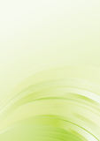 Green background Stock Images