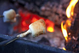 Roasting Marshmallows Over Campfire Royalty Free Stock Image