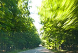 High speed Royalty Free Stock Images