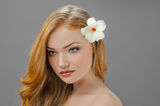 Redheaded picture of beauty Stock Photos