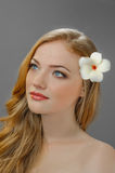Redheaded picture of beauty Royalty Free Stock Image