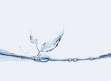 Grain and Leaves of Water Royalty Free Stock Photography