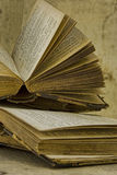 Old books Stock Image