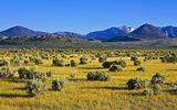 High desert evening Stock Photo