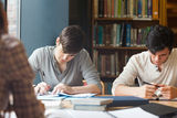Members of a study group working Stock Images