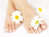 Female feet with pedicure Stock Images