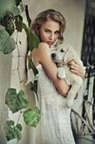 Young woman with dog Stock Images
