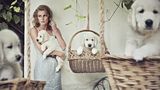 Pretty girl with puppies Royalty Free Stock Images